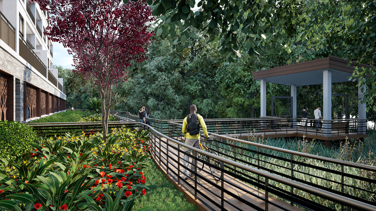 cypress_sound_nature_trail_2